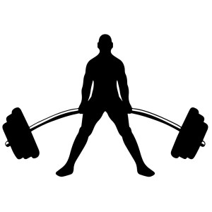 SportOne - Weight Lifting Competition Registration - (EXAMPLE)